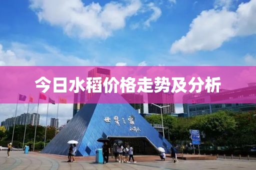 今日水稻价格走势及分析