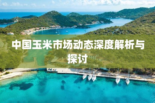 中国玉米市场动态深度解析与探讨