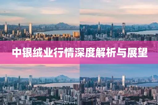 中银绒业行情深度解析与展望