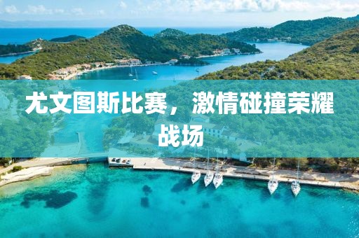 尤文图斯比赛，激情碰撞荣耀战场