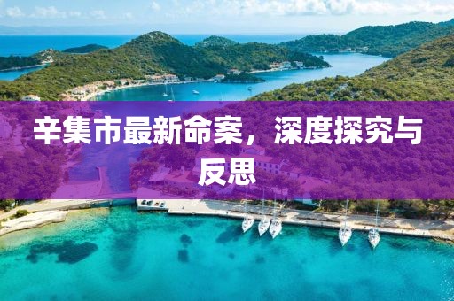 辛集市最新命案，深度探究与反思