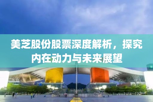 美芝股份股票深度解析，探究内在动力与未来展望