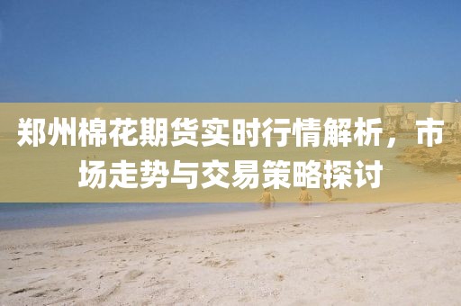 郑州棉花期货实时行情解析，市场走势与交易策略探讨