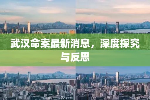 武汉命案最新消息，深度探究与反思