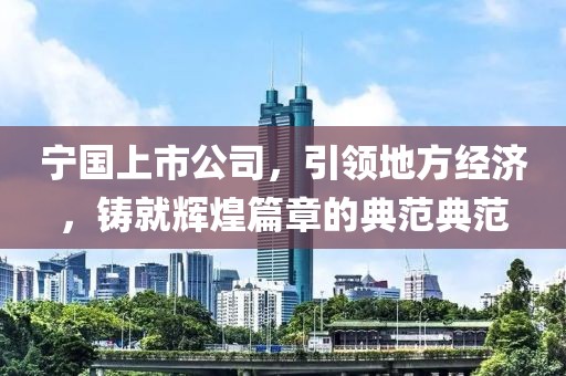 宁国上市公司，引领地方经济，铸就辉煌篇章的典范典范