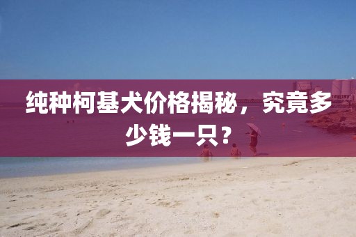 纯种柯基犬价格揭秘，究竟多少钱一只？