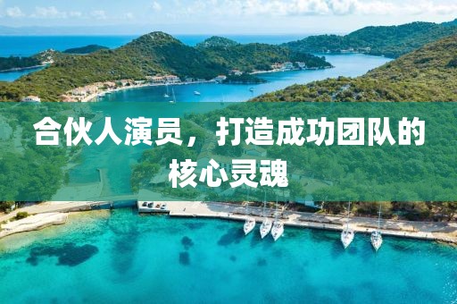 合伙人演员，打造成功团队的核心灵魂