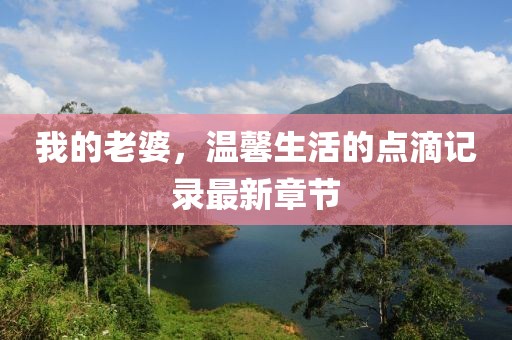 我的老婆，温馨生活的点滴记录最新章节