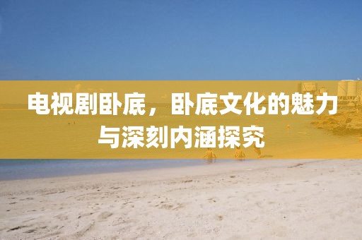 电视剧卧底，卧底文化的魅力与深刻内涵探究