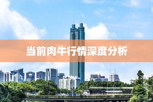 当前肉牛行情深度分析