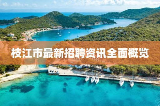 枝江市最新招聘资讯全面概览