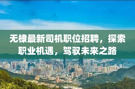 无棣最新司机职位招聘，探索职业机遇，驾驭未来之路
