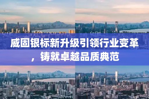 威固银标新升级引领行业变革，铸就卓越品质典范