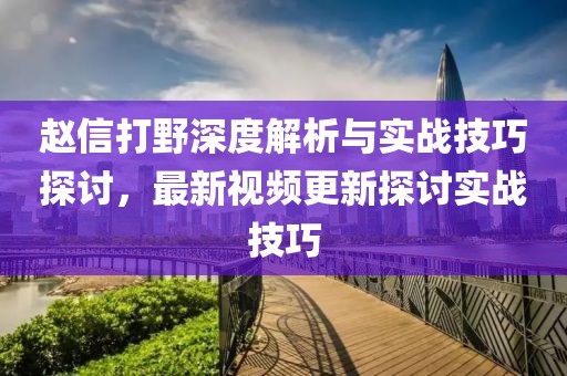 赵信打野深度解析与实战技巧探讨，最新视频更新探讨实战技巧