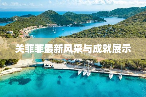 关菲菲最新风采与成就展示