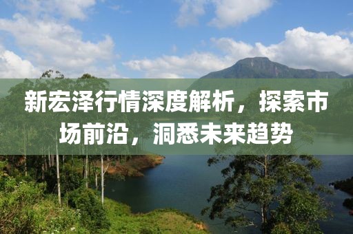 新宏泽行情深度解析，探索市场前沿，洞悉未来趋势