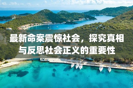 最新命案震惊社会，探究真相与反思社会正义的重要性