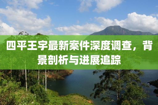 四平王宇最新案件深度调查，背景剖析与进展追踪
