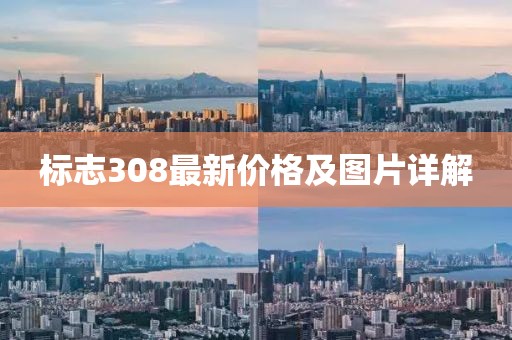 标志308最新价格及图片详解