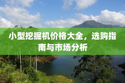 小型挖掘机价格大全，选购指南与市场分析