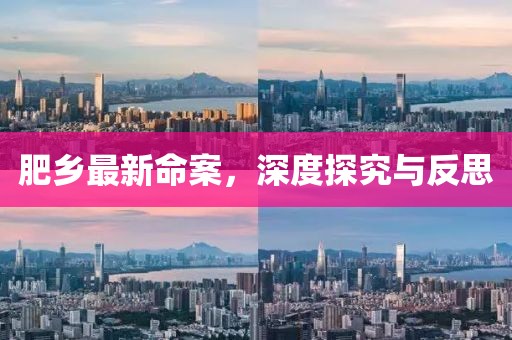 肥乡最新命案，深度探究与反思