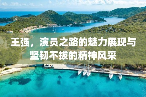 王强，演员之路的魅力展现与坚韧不拔的精神风采