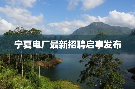 宁夏电厂最新招聘启事发布