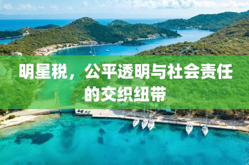明星税，公平透明与社会责任的交织纽带