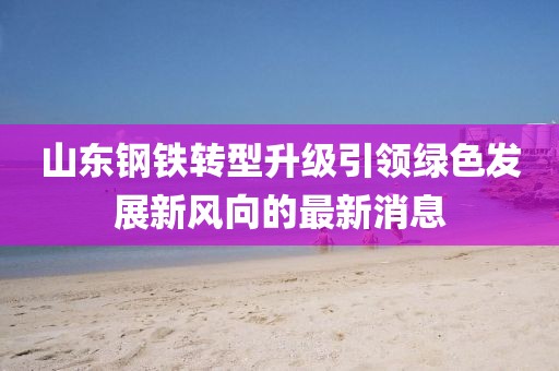 山东钢铁转型升级引领绿色发展新风向的最新消息