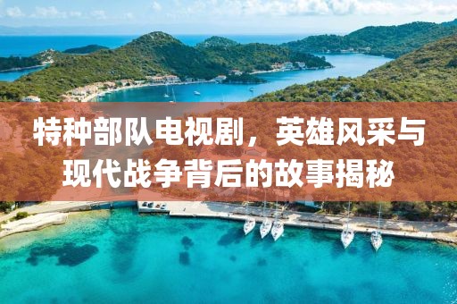 特种部队电视剧，英雄风采与现代战争背后的故事揭秘