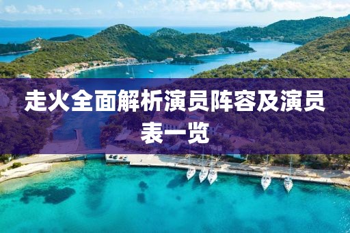 走火全面解析演员阵容及演员表一览
