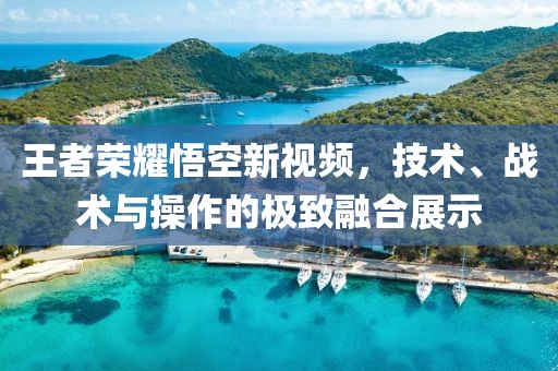 王者荣耀悟空新视频，技术、战术与操作的极致融合展示