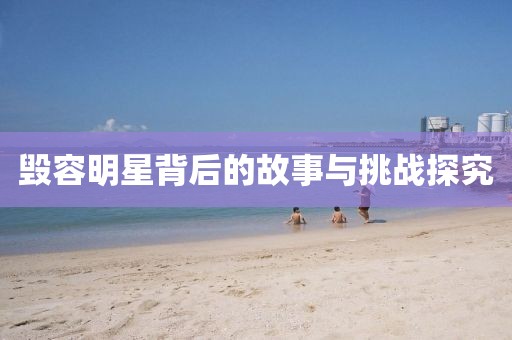 毁容明星背后的故事与挑战探究