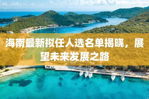 海南最新拟任人选名单揭晓，展望未来发展之路