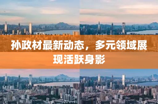 孙政材最新动态，多元领域展现活跃身影