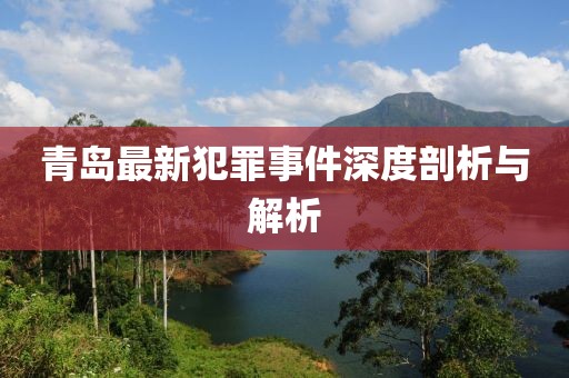 青岛最新犯罪事件深度剖析与解析