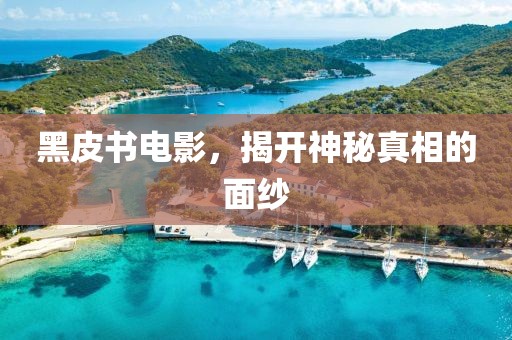 黑皮书电影，揭开神秘真相的面纱