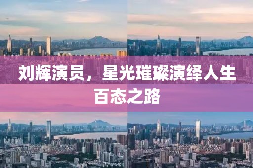 刘辉演员，星光璀璨演绎人生百态之路