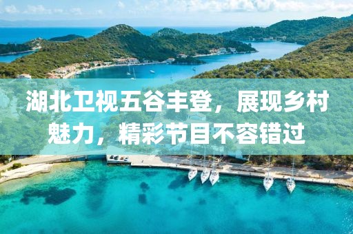 湖北卫视五谷丰登，展现乡村魅力，精彩节目不容错过