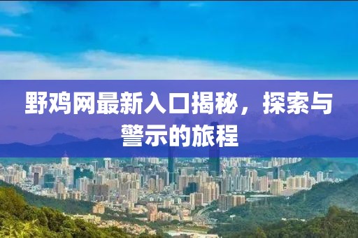 野鸡网最新入口揭秘，探索与警示的旅程