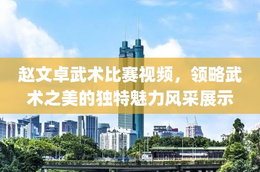 赵文卓武术比赛视频，领略武术之美的独特魅力风采展示