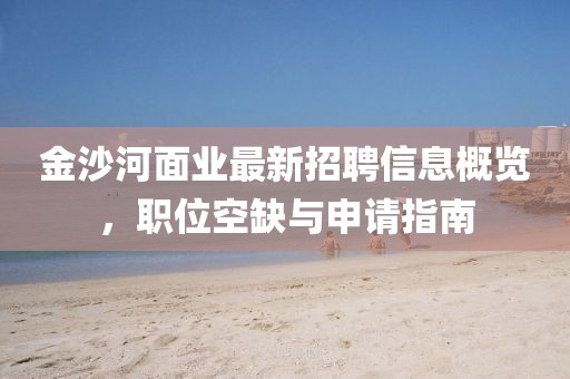 金沙河面业最新招聘信息概览，职位空缺与申请指南