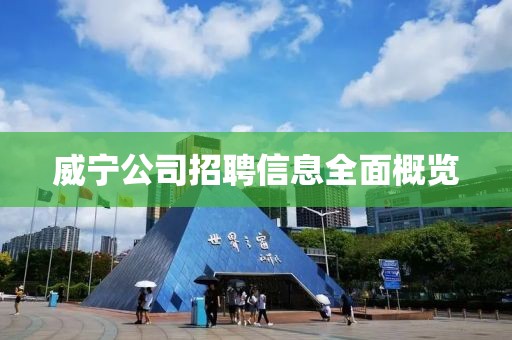 威宁公司招聘信息全面概览