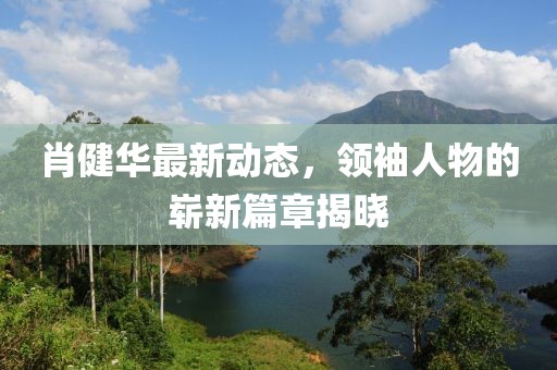 肖健华最新动态，领袖人物的崭新篇章揭晓