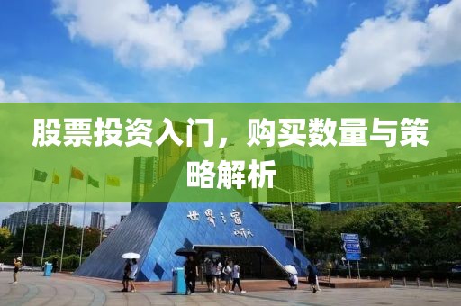 股票投资入门，购买数量与策略解析