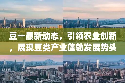豆一最新动态，引领农业创新，展现豆类产业蓬勃发展势头