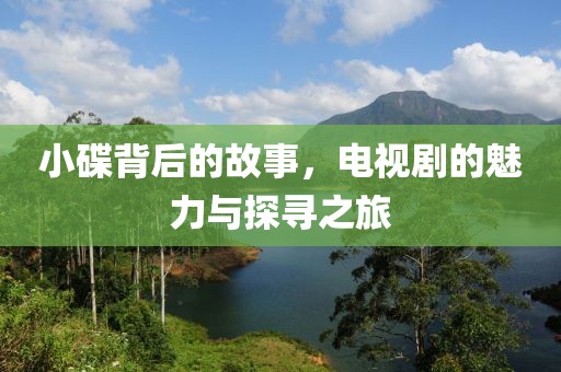 小碟背后的故事，电视剧的魅力与探寻之旅