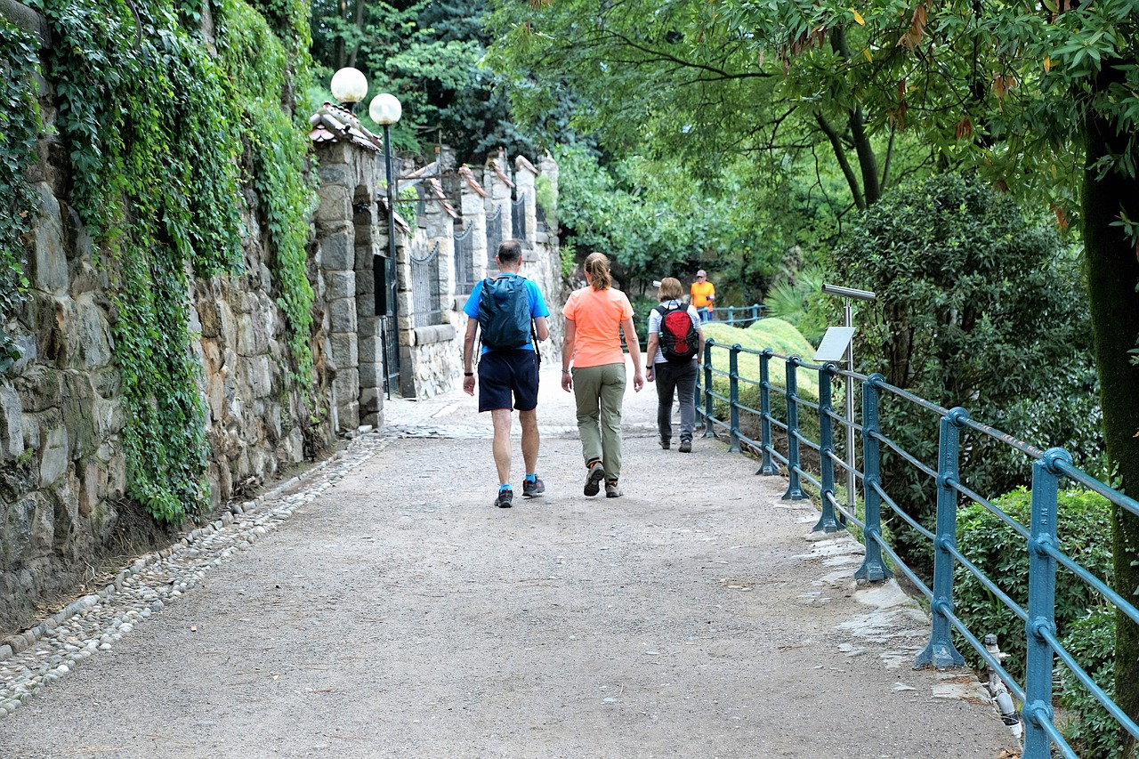 顺峰山公园门票价格详解与探讨