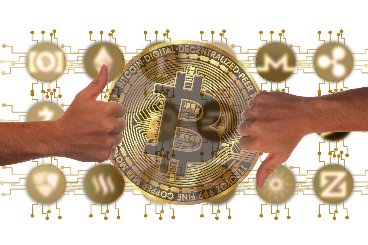 聚丙烯最新价格动态，市场与行业影响分析