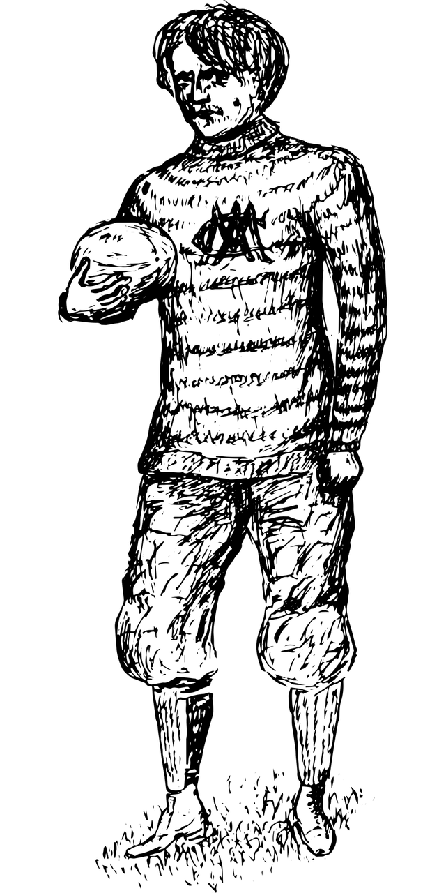 黄梅誉天下，最新动态与资讯速递